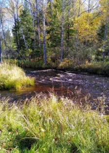 creek in Amasa Michigan